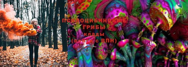 стаф Гусиноозёрск