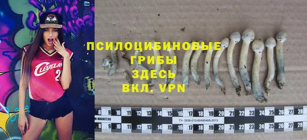 jwh Горняк