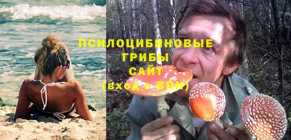 mdpv Гусев