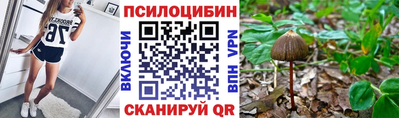 shop как зайти  Заозёрный  Псилоцибиновые грибы MAGIC MUSHROOMS 